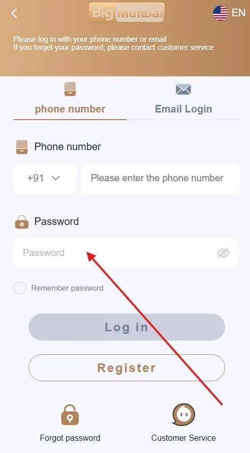 enter your login password